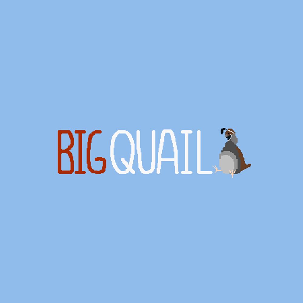 @bigquailgames.bsky.social avatar