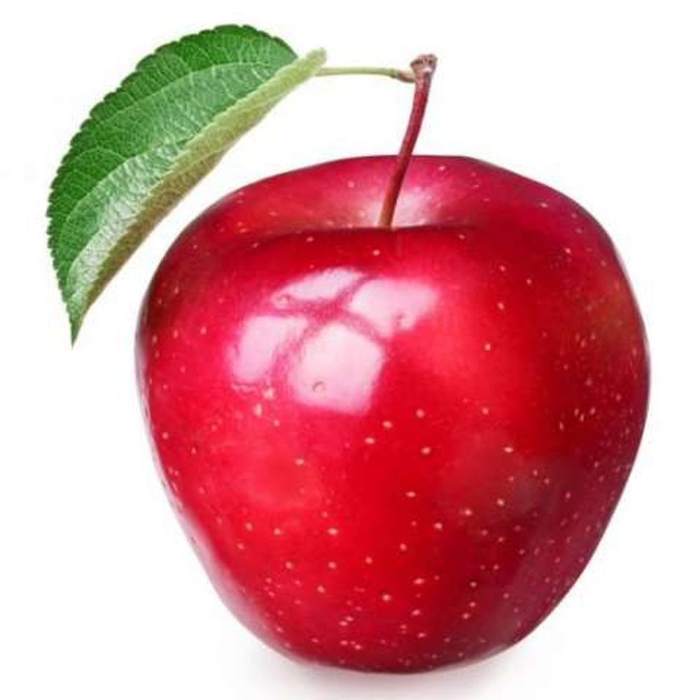 @bsky.ordoor.tk avatar