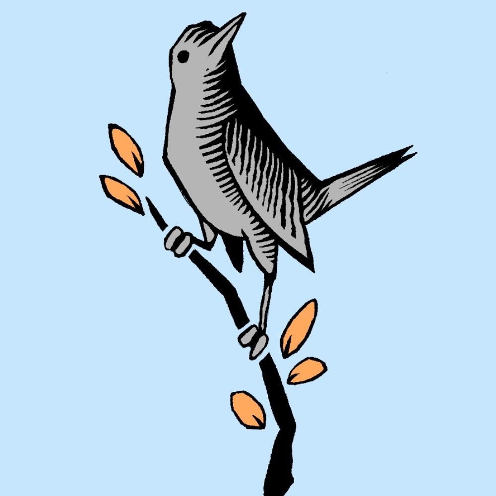 @catbirdsoft.net avatar