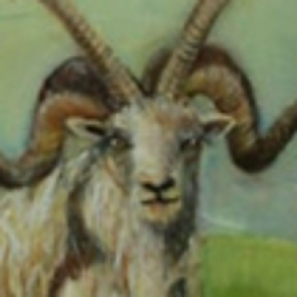 @cognitogoat.bsky.social avatar