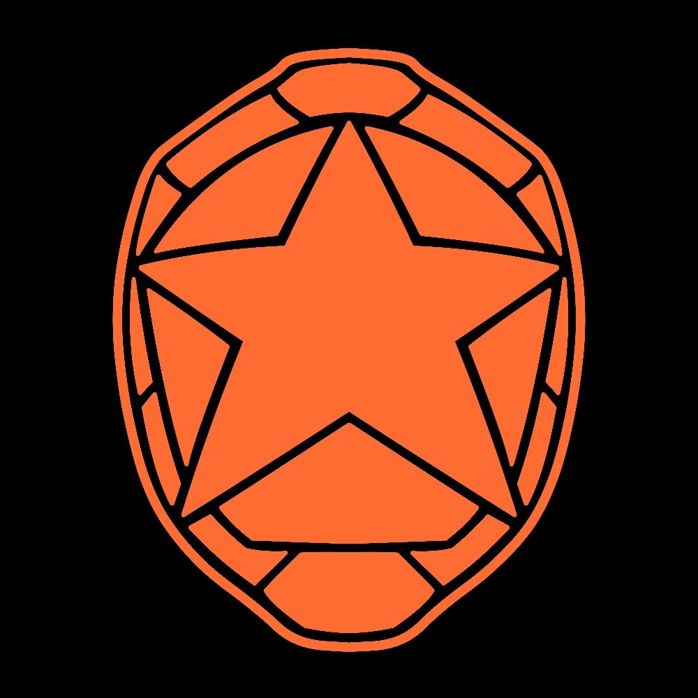 @cometturtle.bsky.social avatar