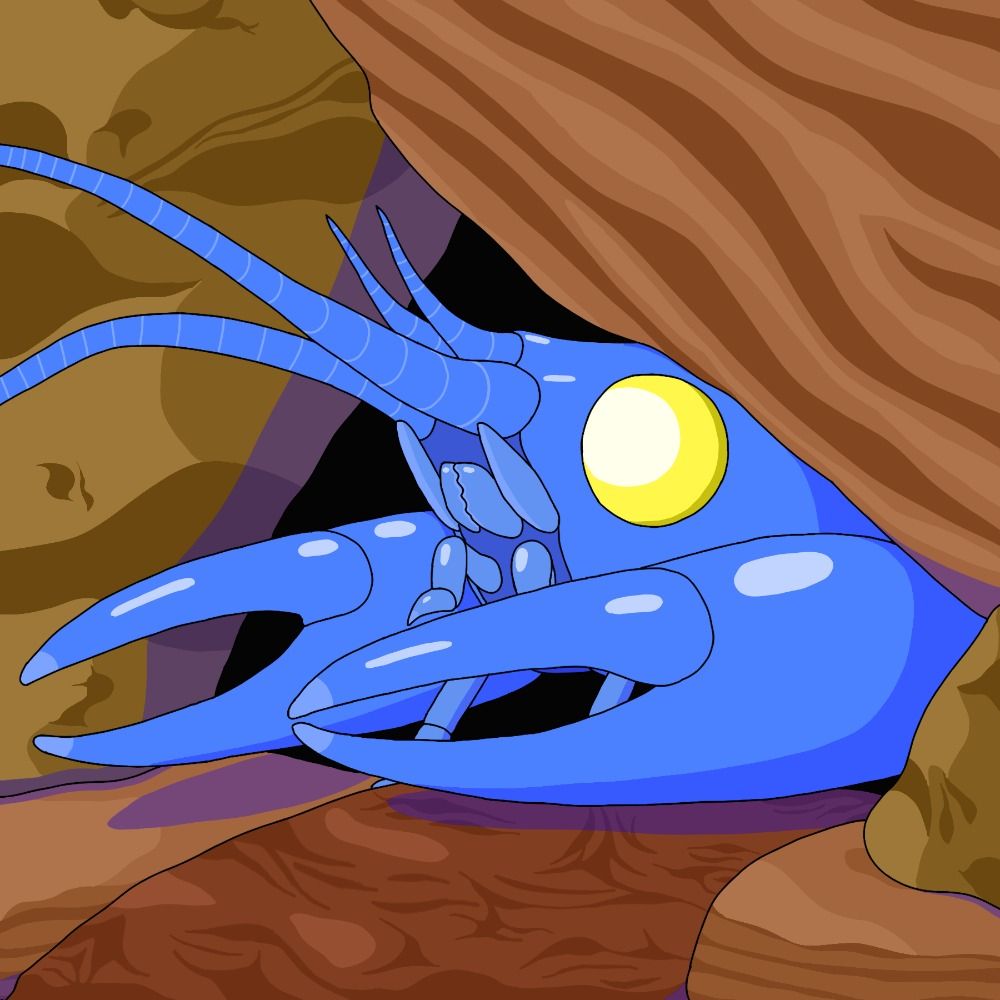 @concealedcrawfish.bsky.social avatar