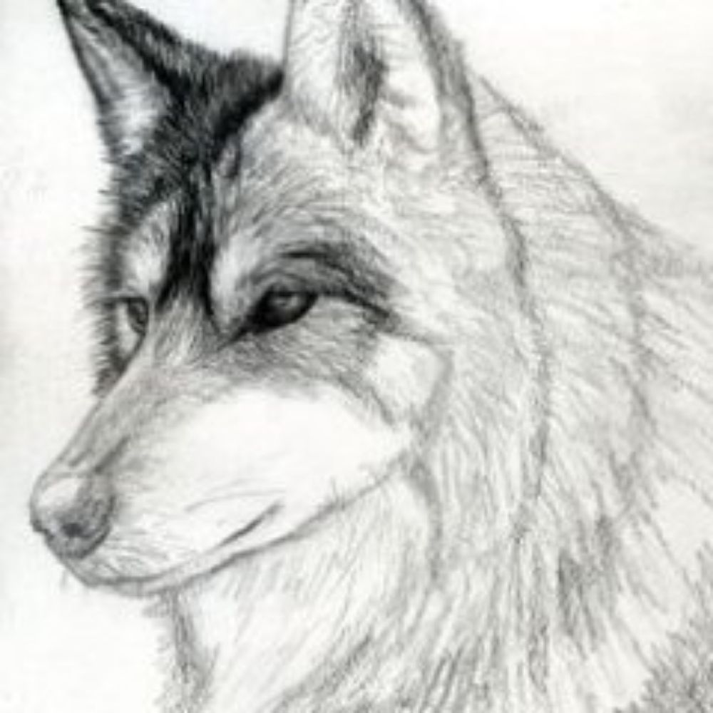 @dylanjwolf.bsky.social avatar