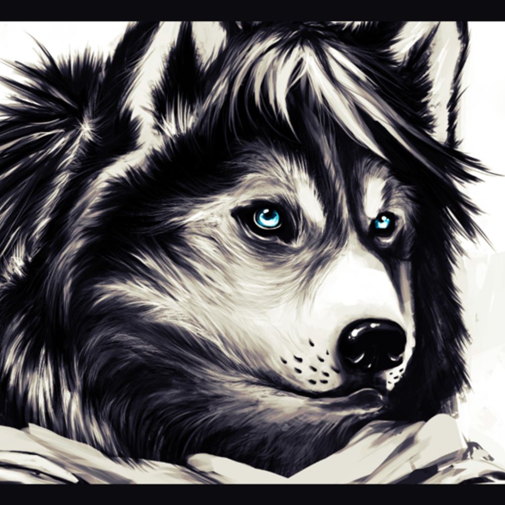 @eclipsedhusky.bsky.social avatar