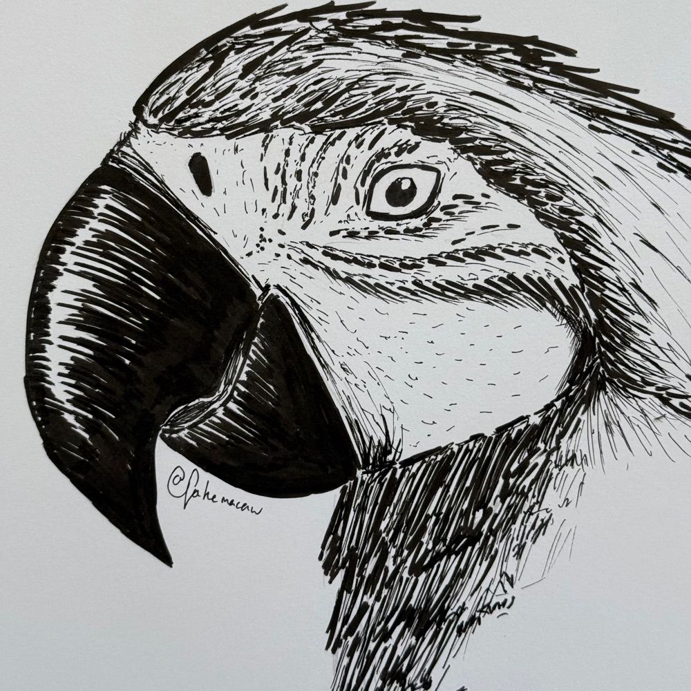 @fakemacaw.bsky.social avatar