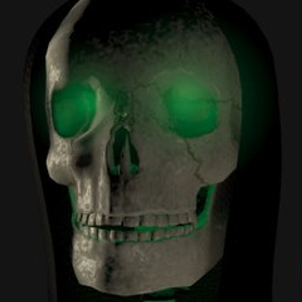 @fatcicada.bsky.social avatar