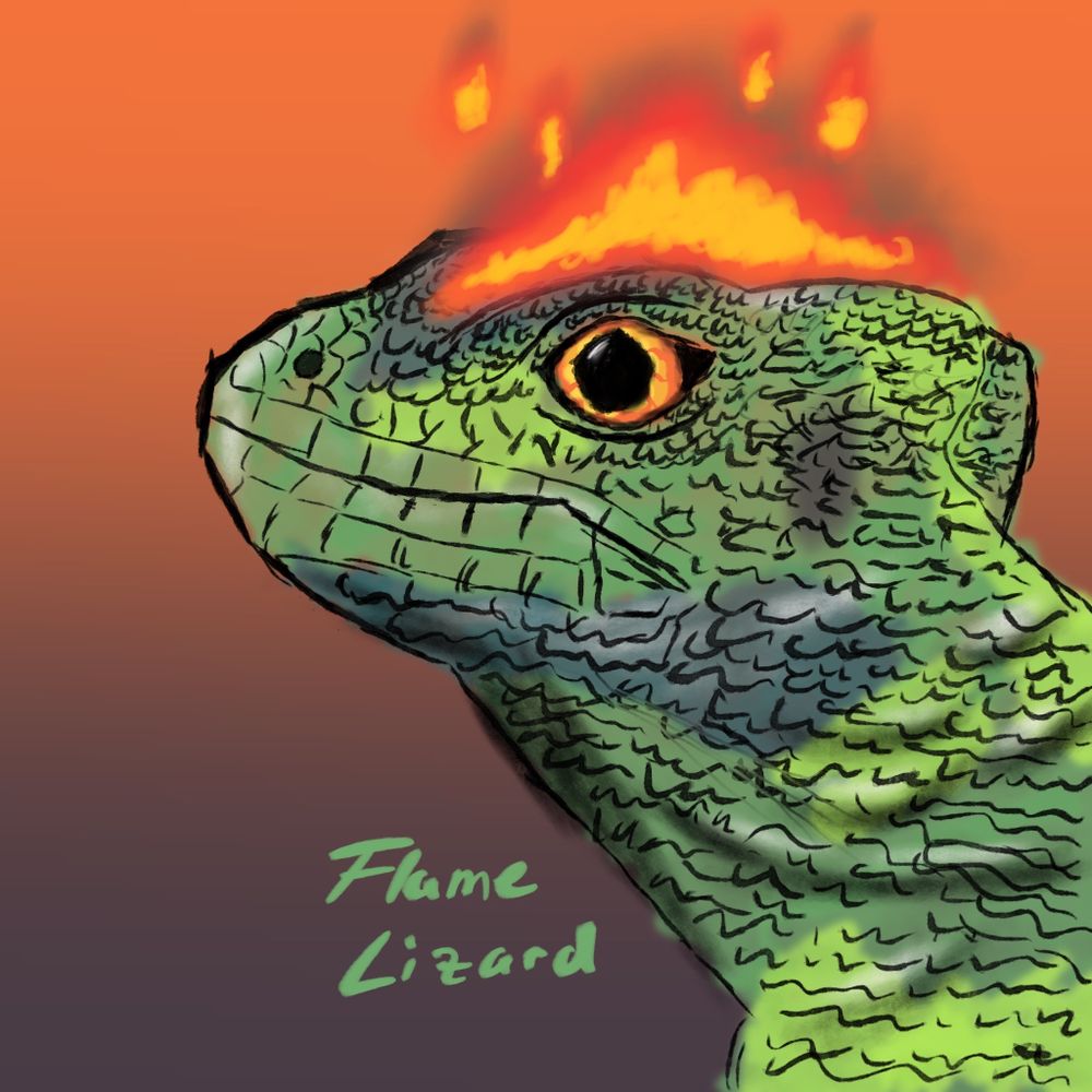 @flamelizard.bsky.social avatar