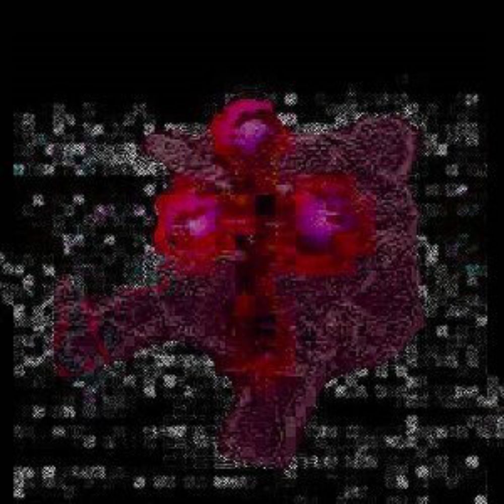 @frozencicada.bsky.social avatar