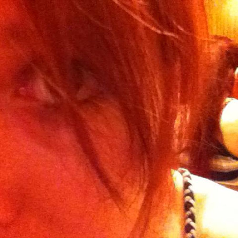 @hysteriaaa.bsky.social avatar
