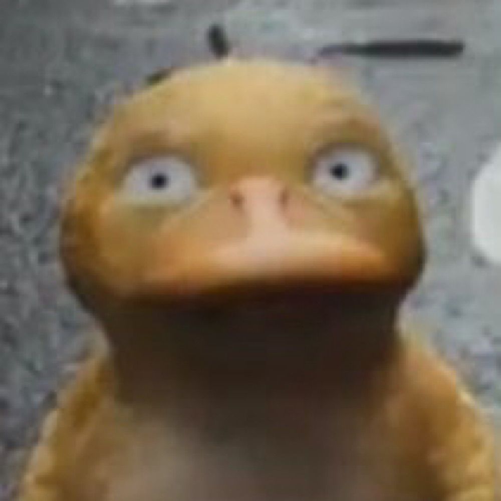 @irl-psyduck.bsky.social avatar