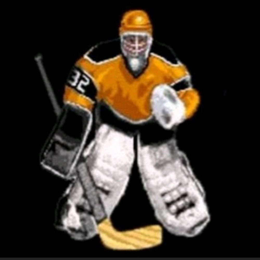 @jazzergoalie.bsky.social avatar