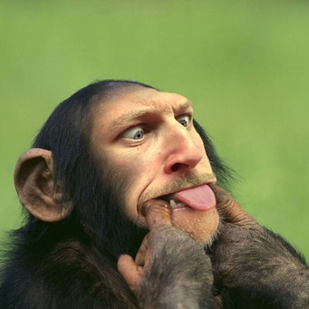 @jumbobnz.bsky.social avatar