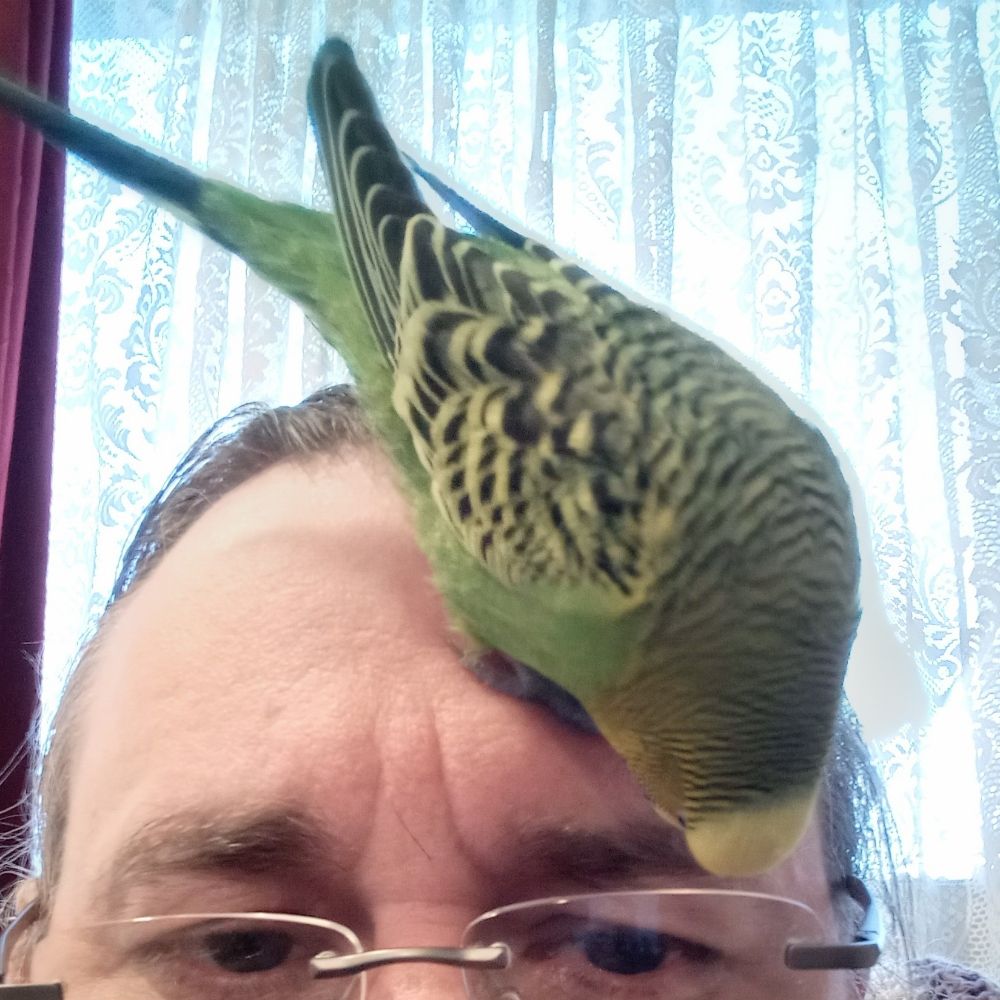@laughinglemon.bsky.social avatar