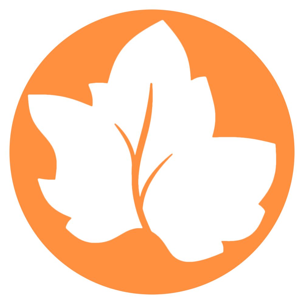 @maplelike.com avatar