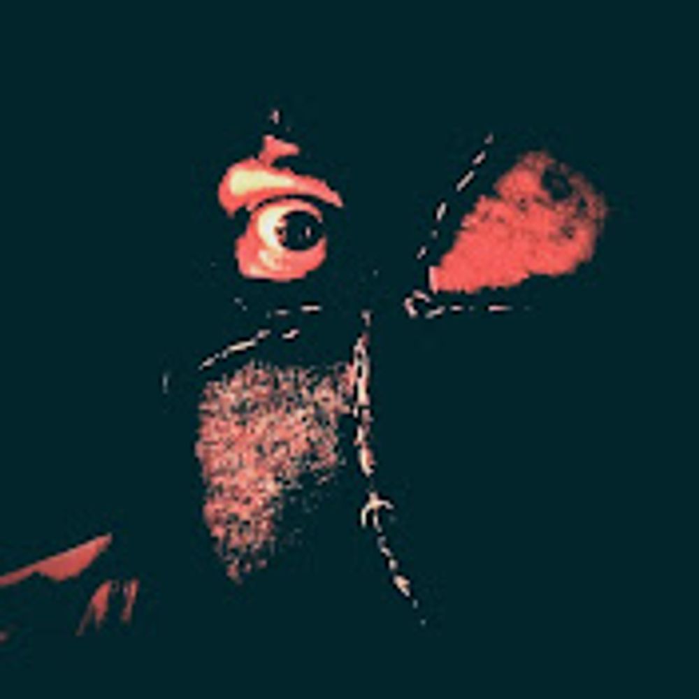 @maxsilhouette.bsky.social avatar