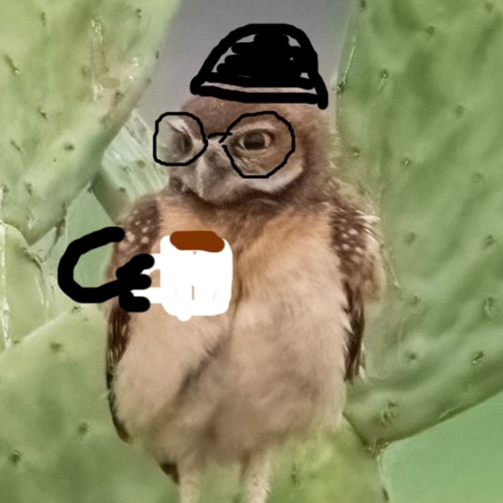 @michelllbrunch.bsky.social avatar