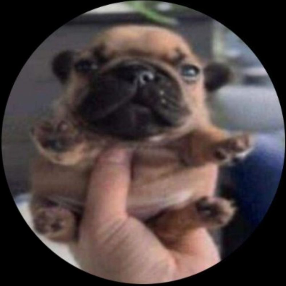 @miguel1231chi.bsky.social avatar