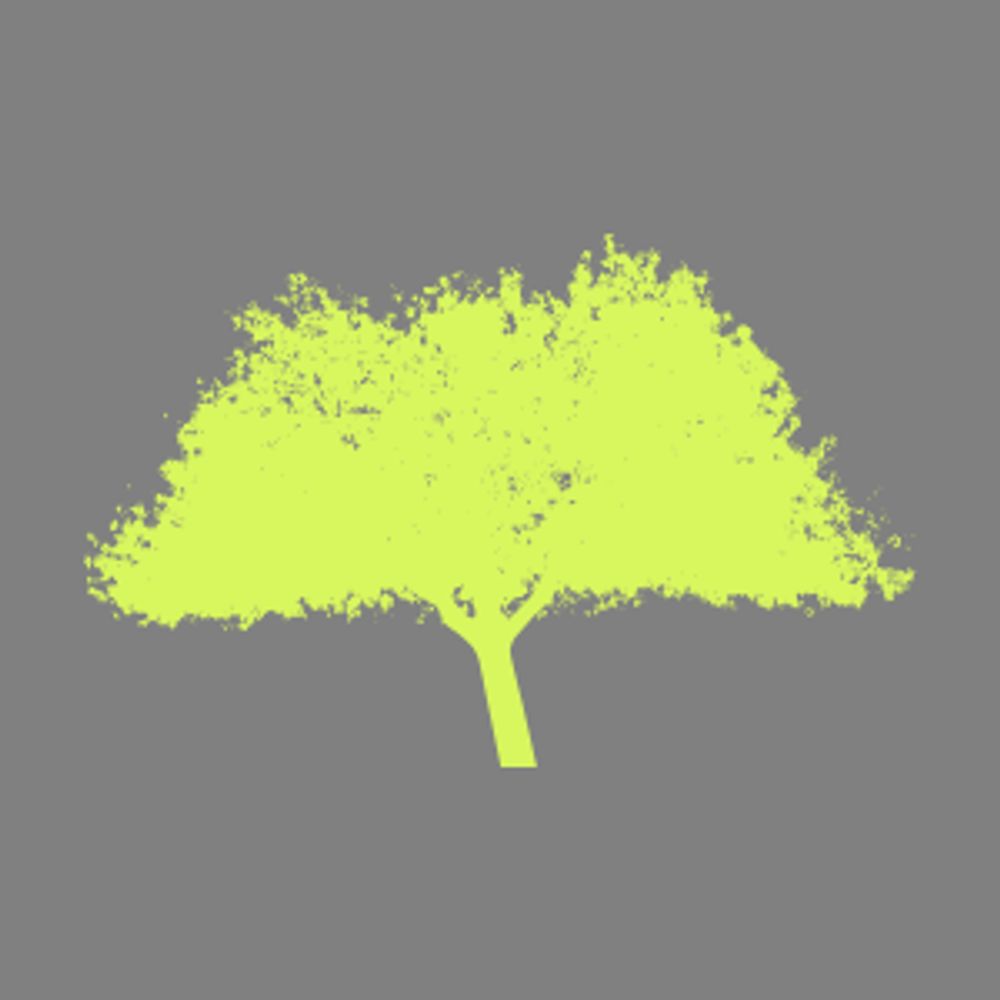 @oboucard.bsky.social avatar