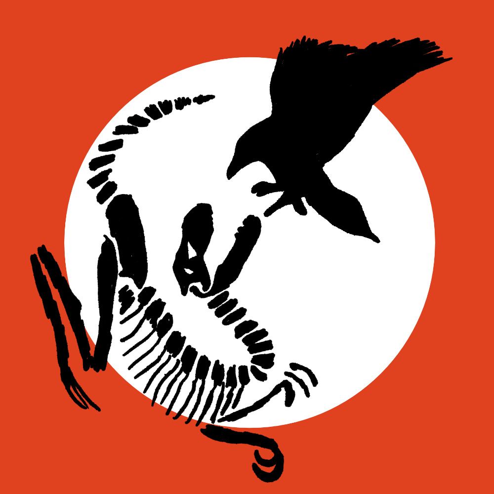 @raptorshadow.org avatar
