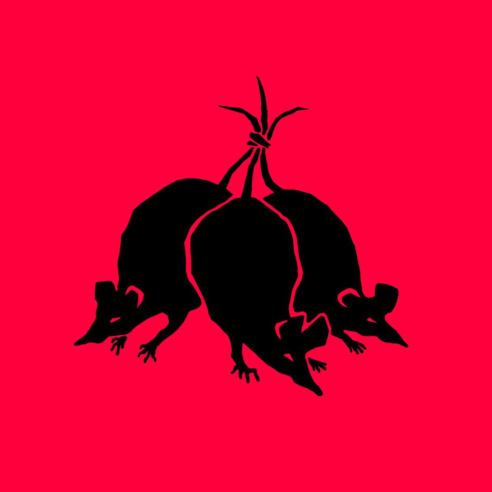 @rattusrattusart.bsky.social avatar