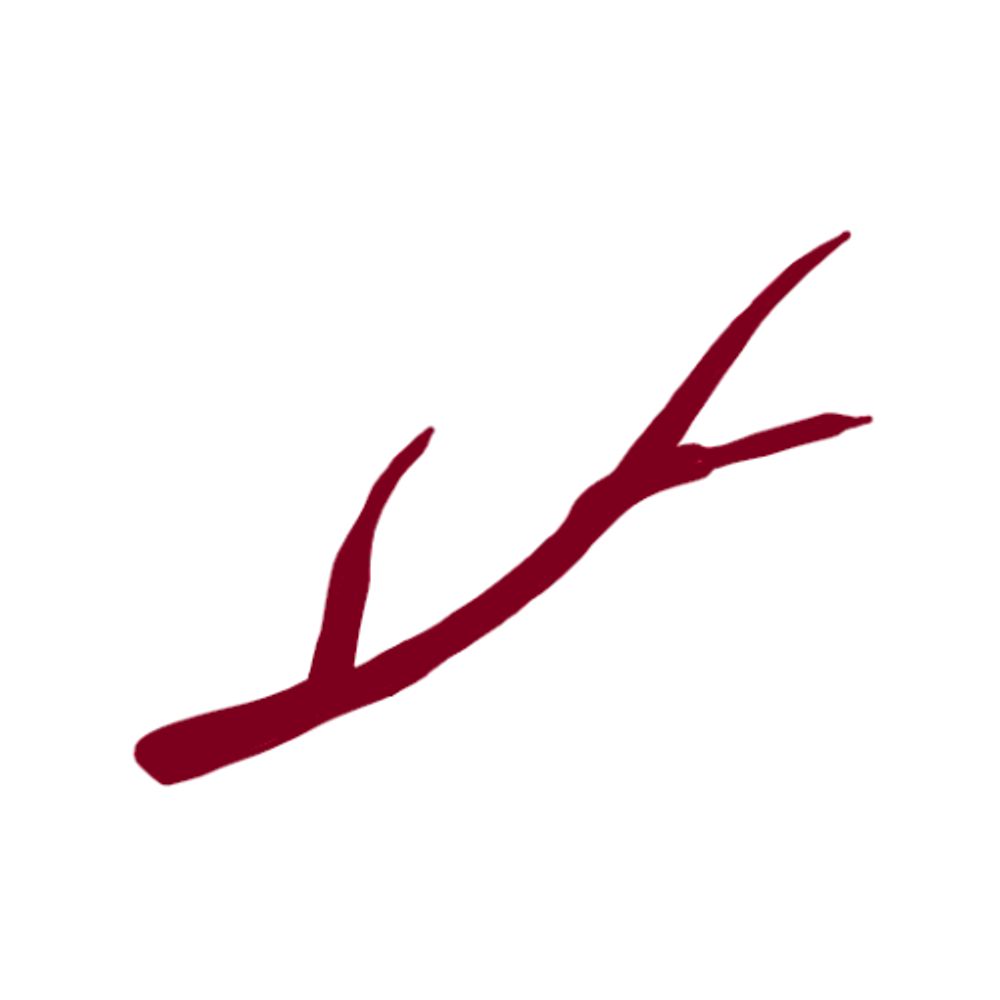 @redbranchstudio.bsky.social avatar