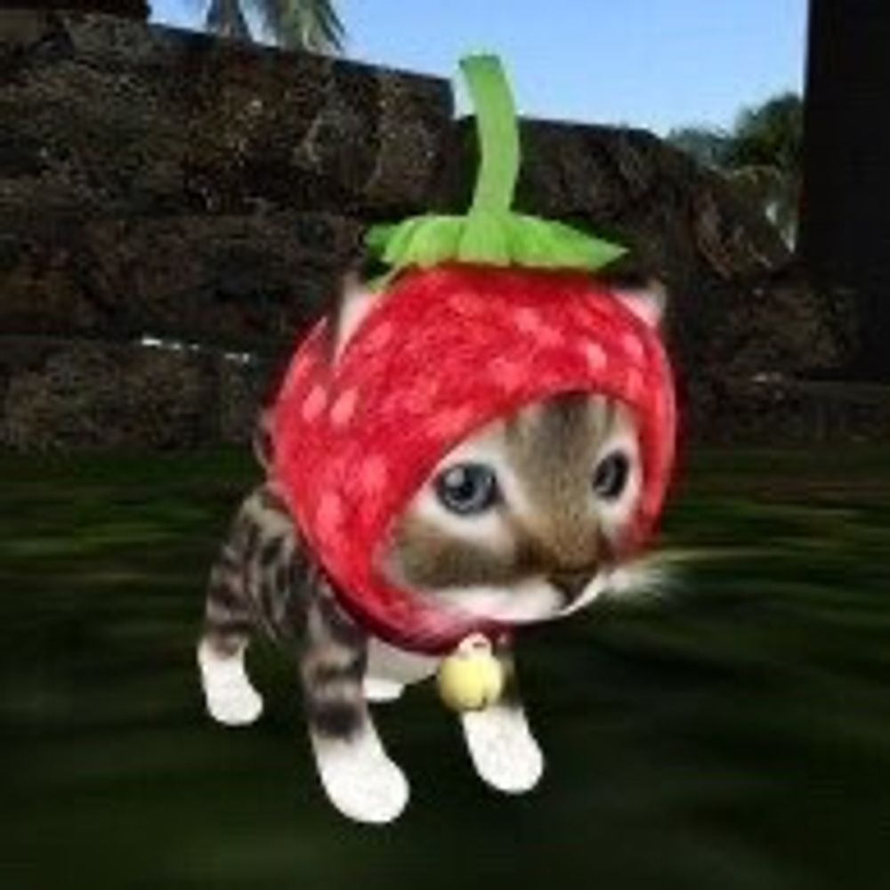 @rootvegetableboy.bsky.social avatar