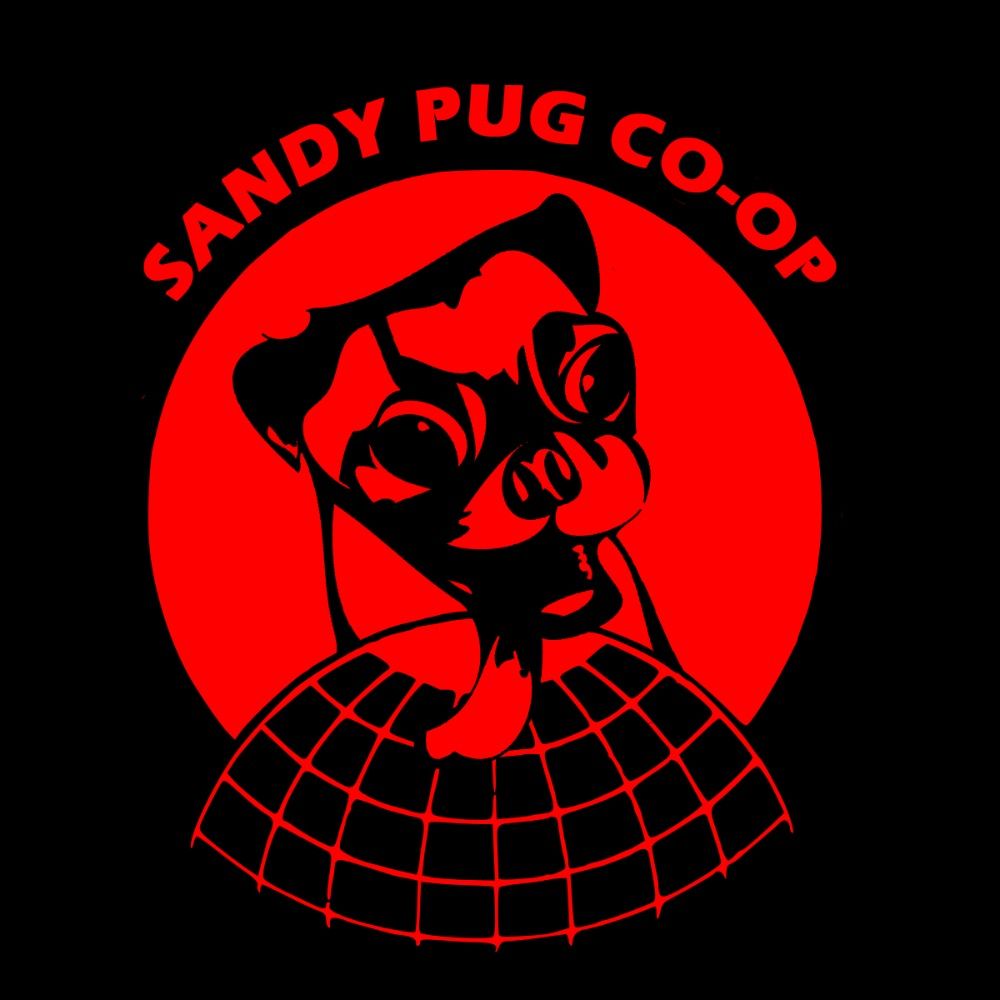 @sandypuggames.bsky.social avatar