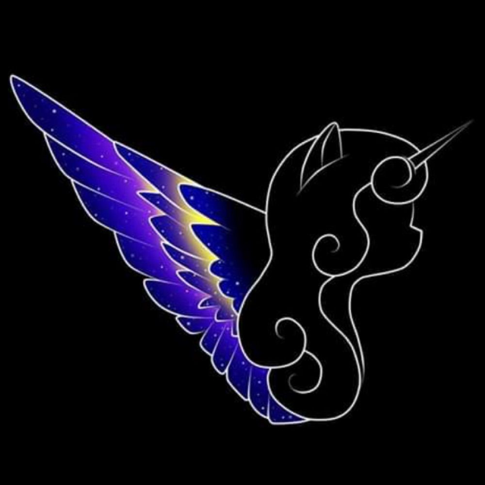 @selmalokvik.bsky.social avatar