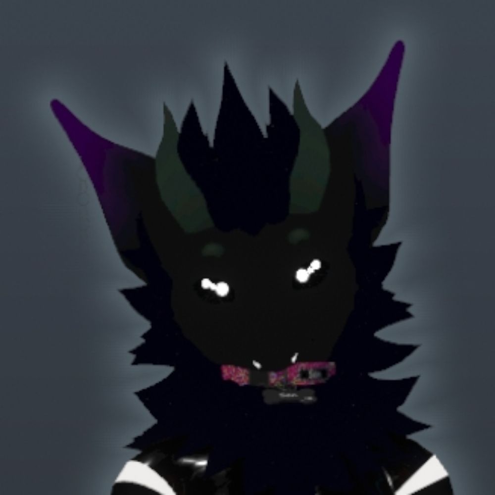@senexd.me avatar