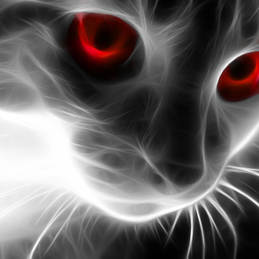 @smashcat.org avatar