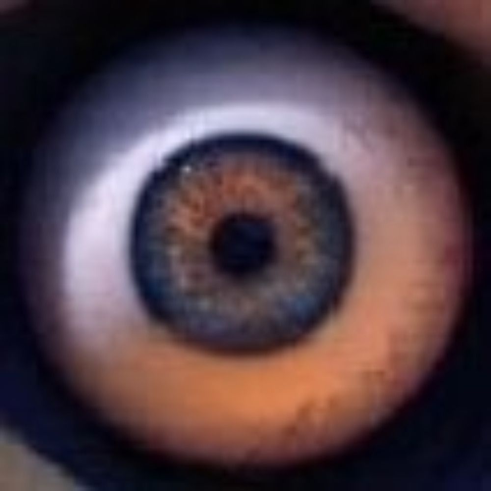 @soidev.bsky.social avatar