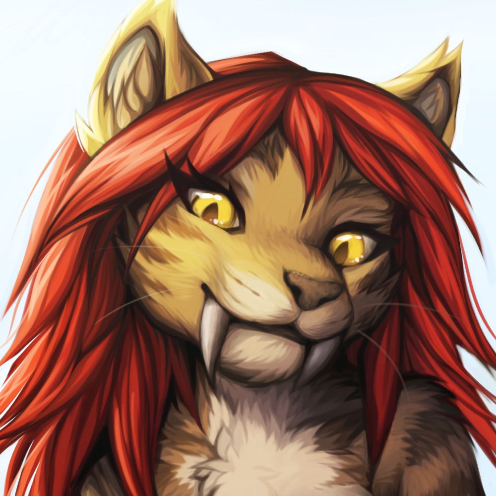 @stampydragon.bsky.social avatar