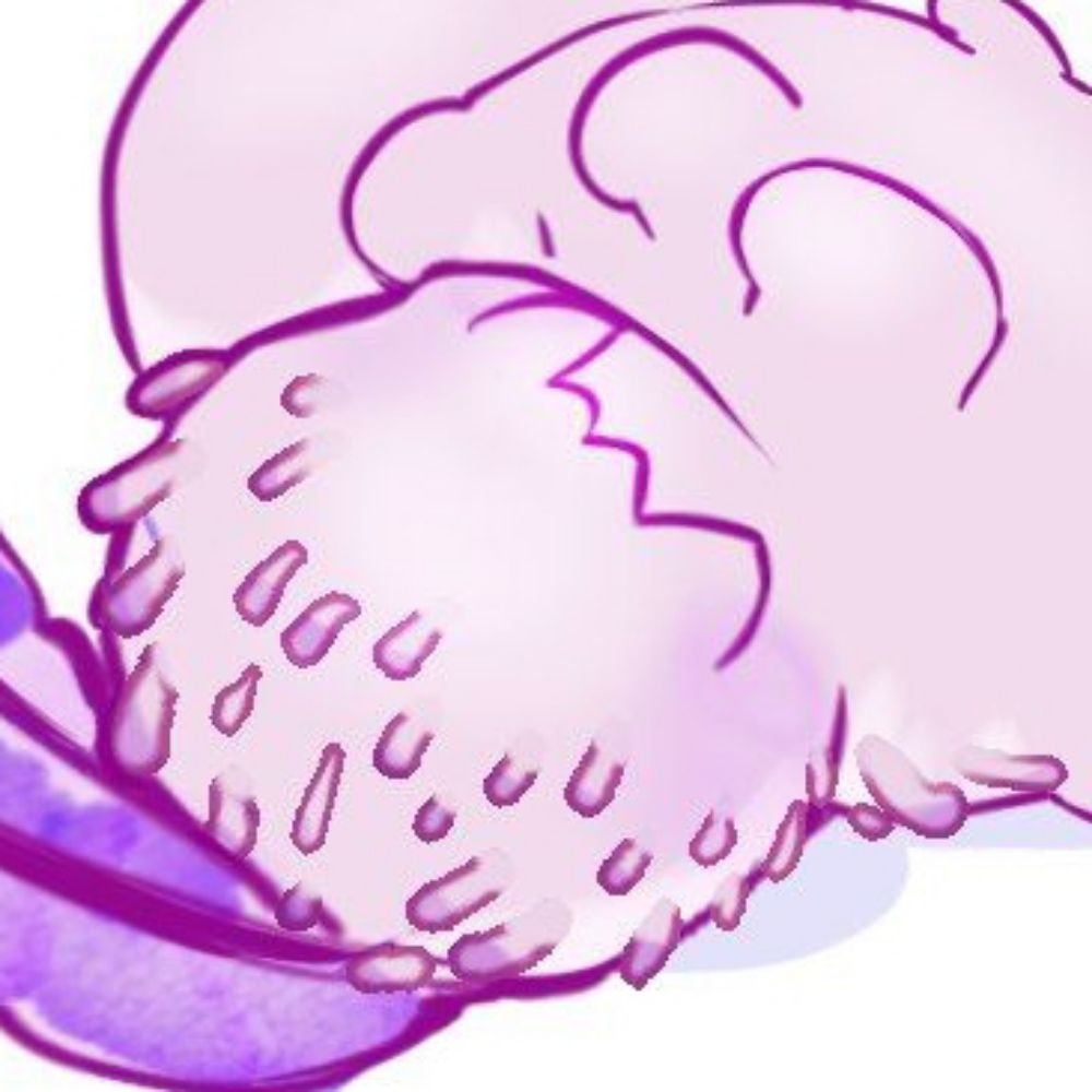 @stickerpaws.bsky.social avatar