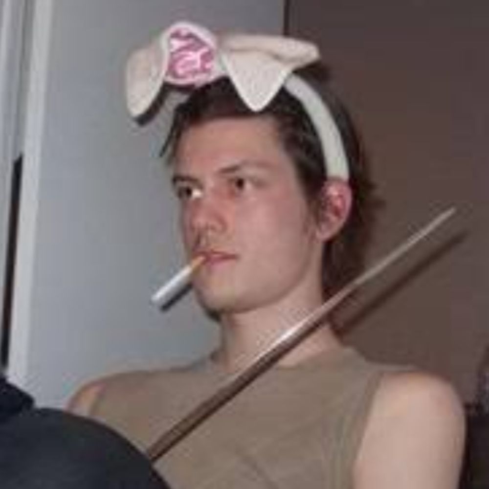 @stupidbunnysuit.bsky.social avatar