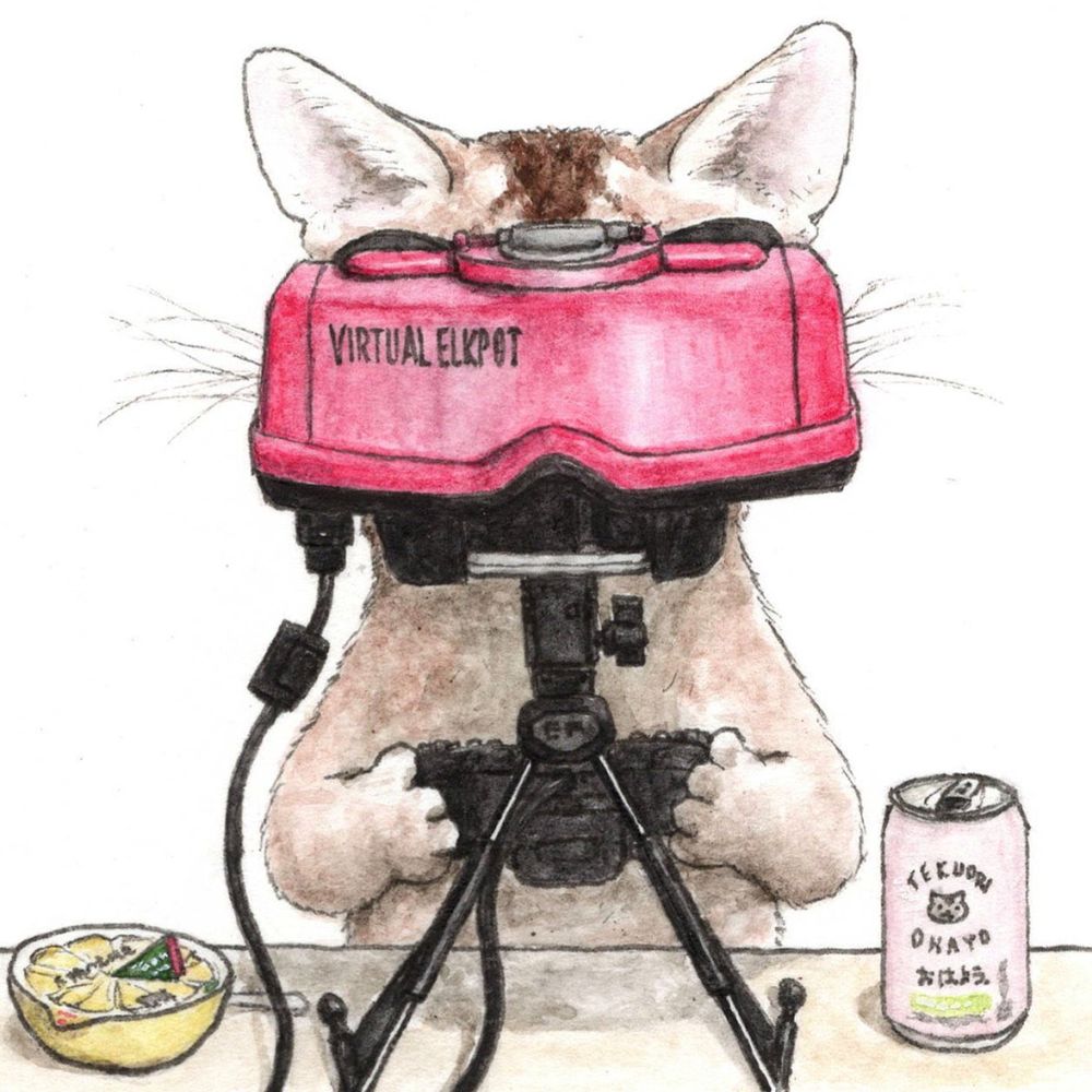 @suds-the-cat.bsky.social avatar