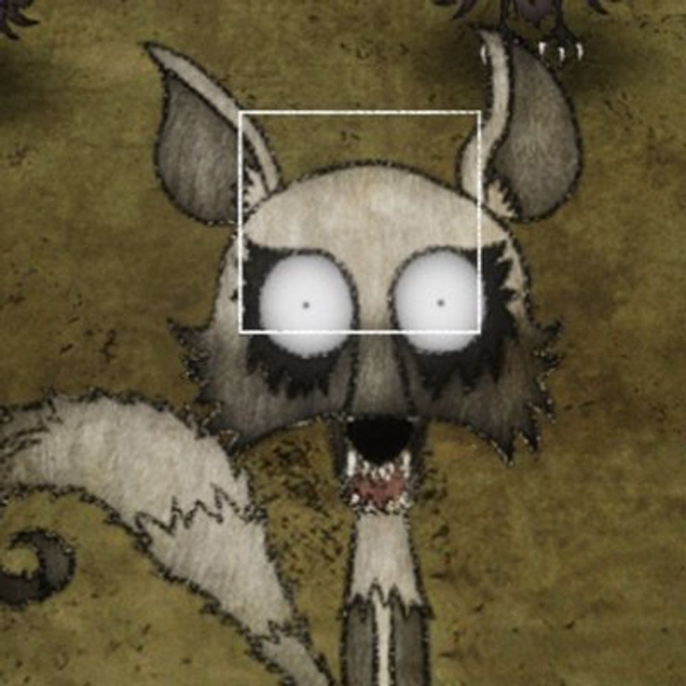 @tamingwolves.com avatar