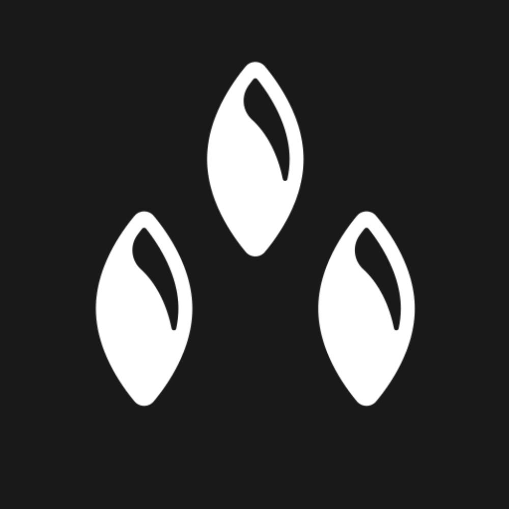 @tuatara.bsky.social avatar