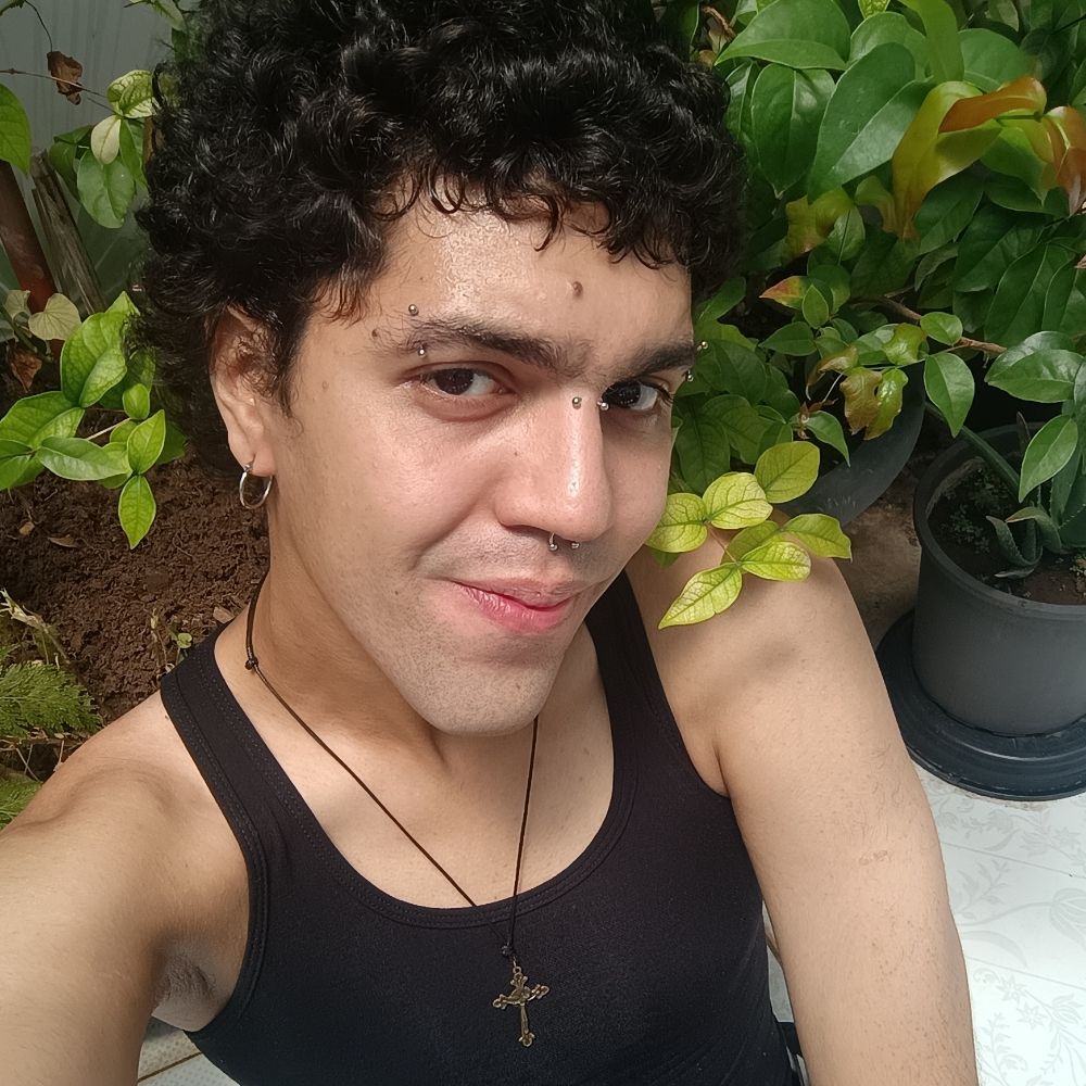 @tulipadev.bsky.social avatar