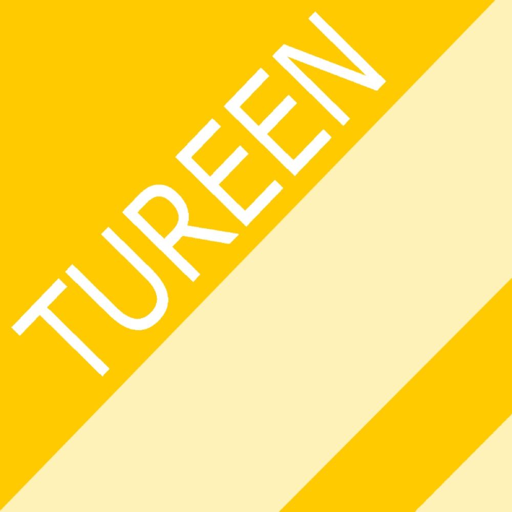@tureen.bsky.social avatar