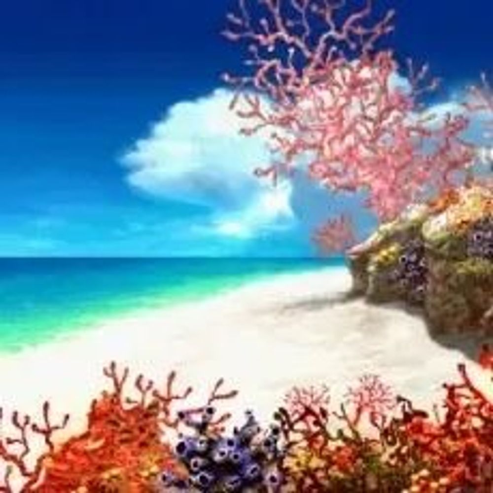 @videogamebeach.bsky.social avatar